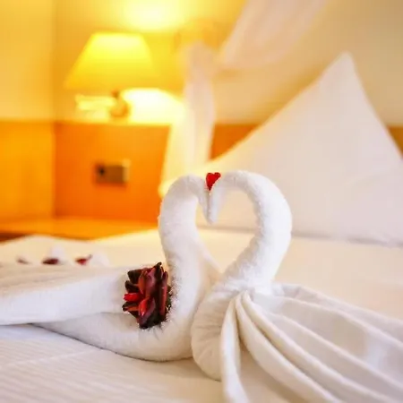 Hotel Zur Tanne 2*