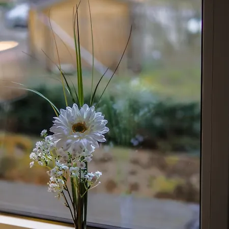 Zur Tanne Hotel Harztor