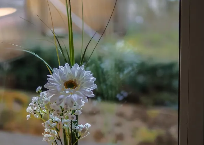 Zur Tanne Hotel Harztor